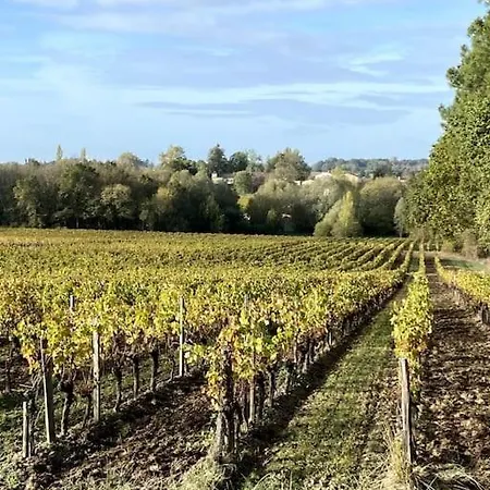 Belle Maison De Charme Lussac (Gironde)