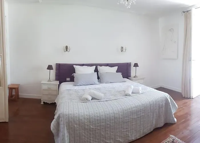 Belle Maison De Charme Lussac (Gironde)